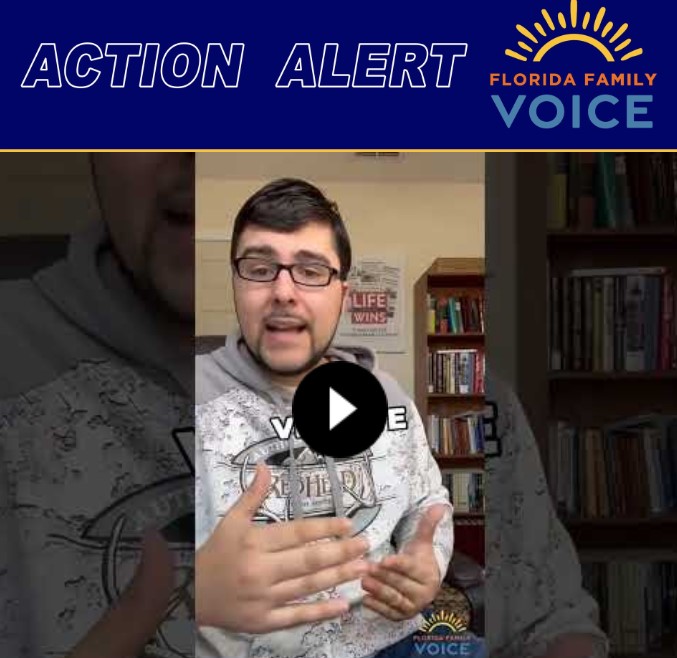 special session action alert