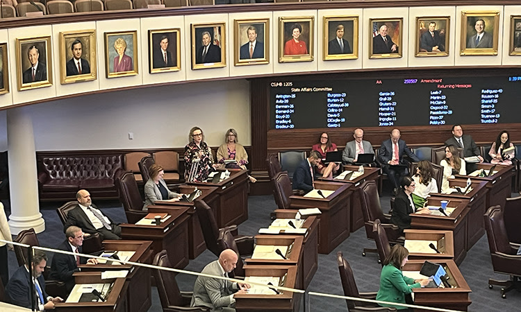 Sen. Erin Grall presenting HB 1205, The Citizens Initiative Reform Act