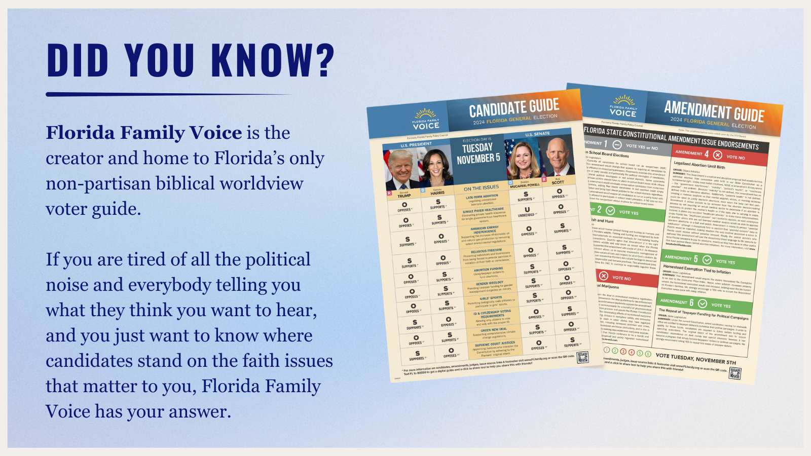 voter guide preview primary